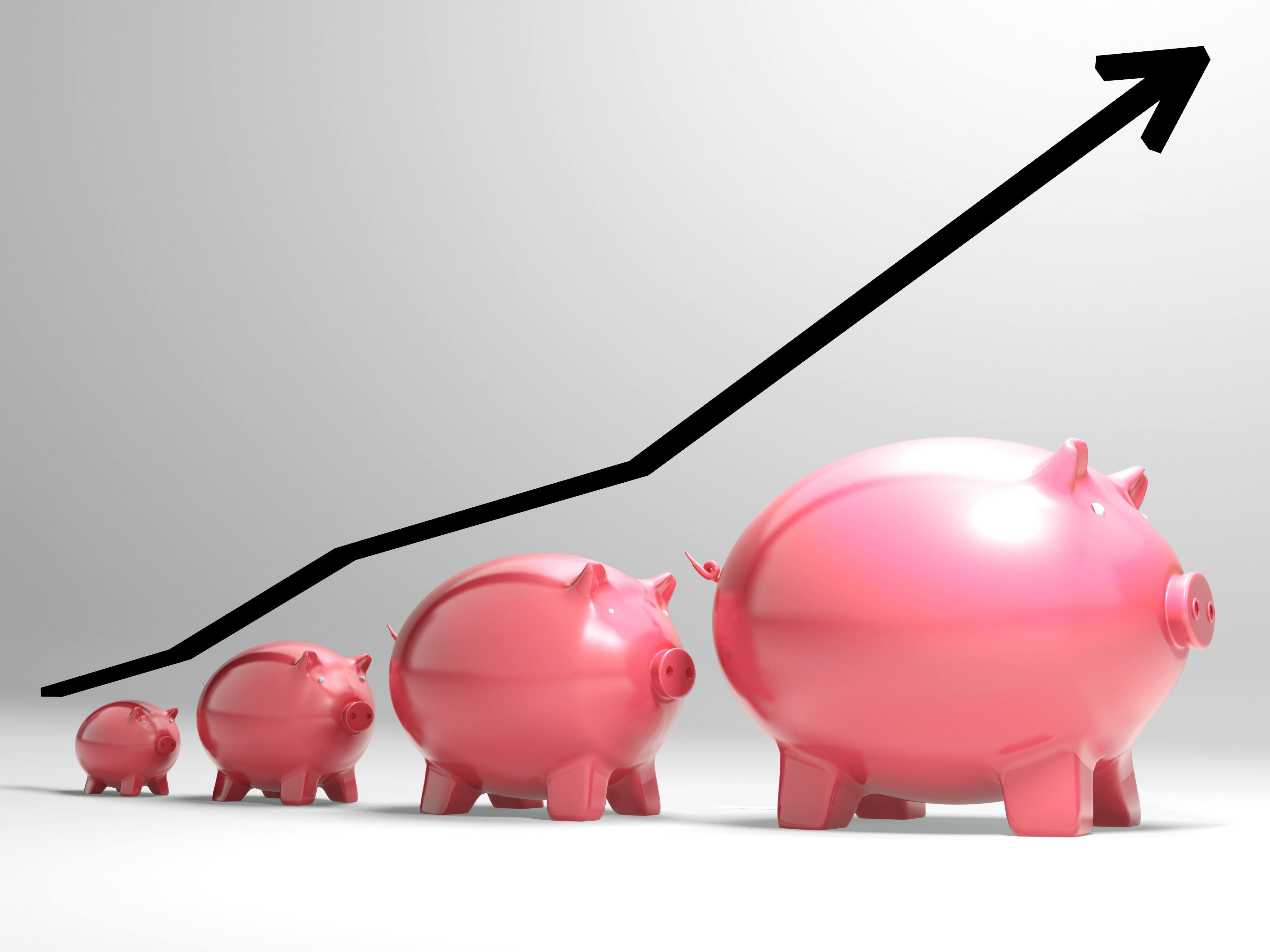 Growing Piggy Shows Financial Growth in greenvilole south carolina and cliffs communities